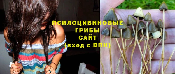 тгк Аркадак