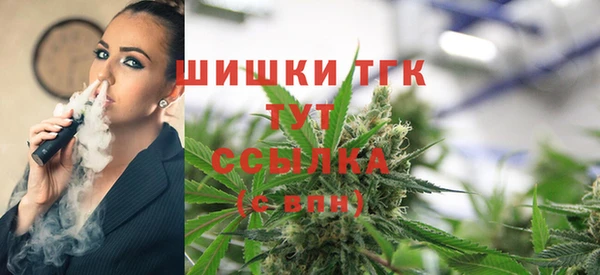 тгк Аркадак